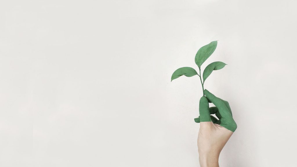 Ökologie bei der saw gruppe