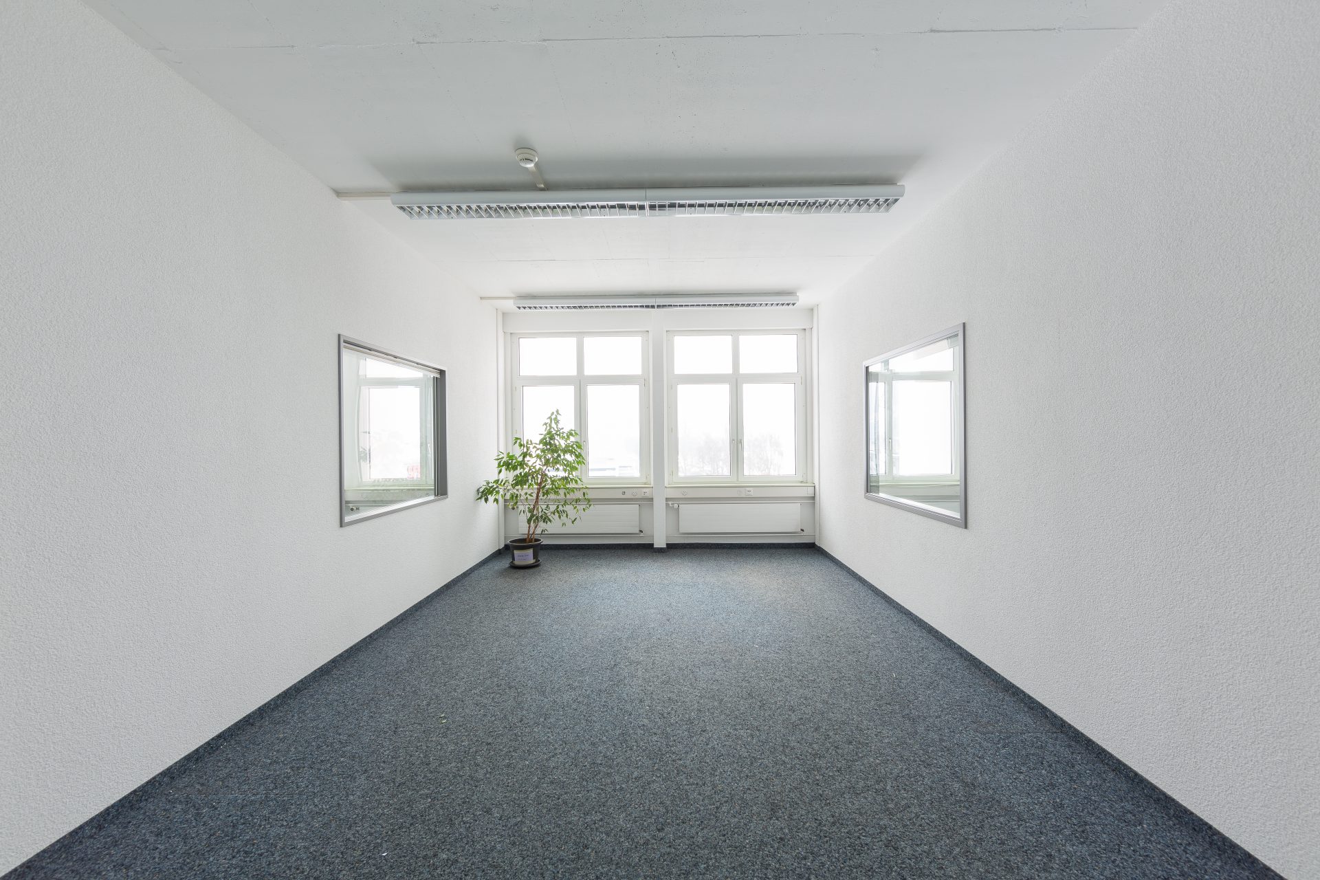 Vermietung Büro