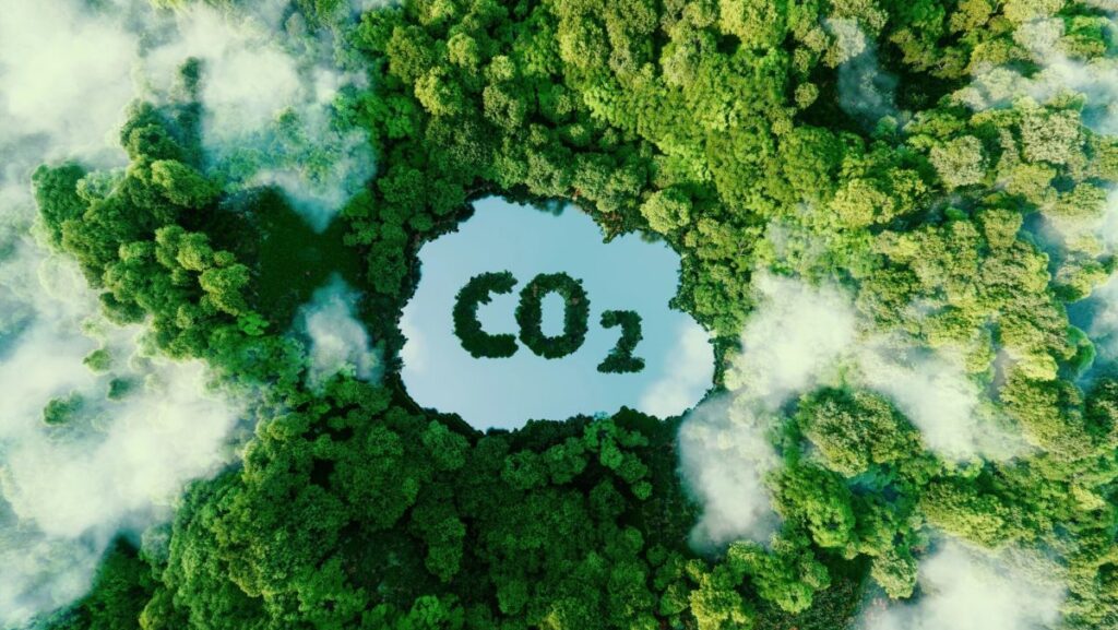 Nachhaltigkeit CO2